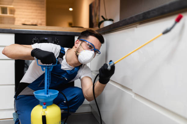 Best Mosquito Control Services  in Oskaloosa, IA