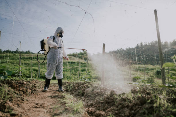 Best Pest Removal Services  in Oskaloosa, IA