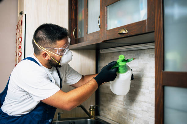 Best Residential Pest Control  in Oskaloosa, IA