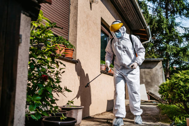 Best Best Pest Control Companies  in Oskaloosa, IA