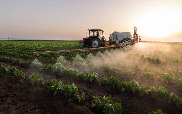 Best Insect Control  in Oskaloosa, IA