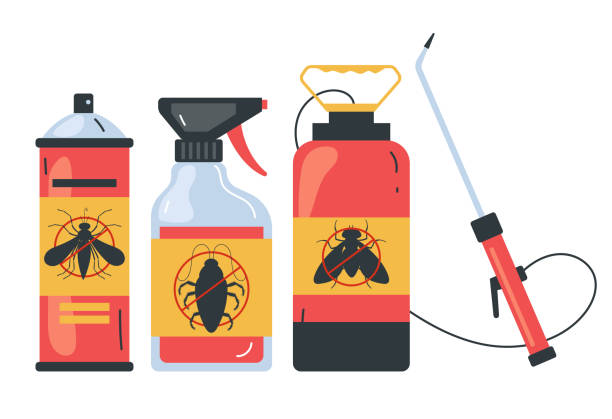Best Ant Control Services  in Oskaloosa, IA