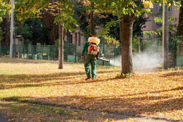 Best Affordable Pest Control Services  in Oskaloosa, IA