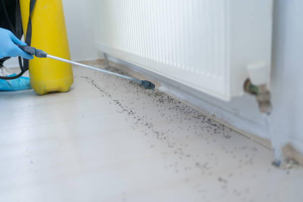 Best Cockroach Control Services  in Oskaloosa, IA