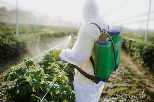 Best Pest Prevention Services  in Oskaloosa, IA